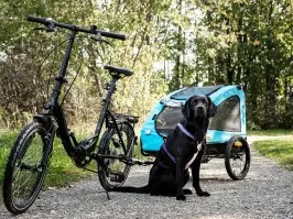 Fahrrad mit Hundeanhänger. Hund sitzt vor Anhänger. Hundetraining für entspannte Ausflüge.